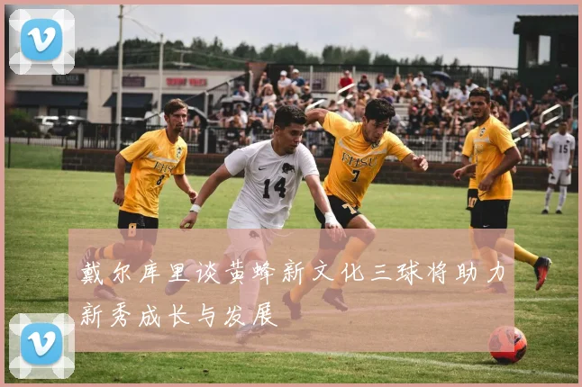 戴尔库里谈黄蜂新文化三球将助力新秀成长与发展