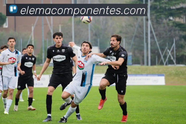 体育数据展示